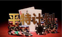 将其涉嫌犯罪问题